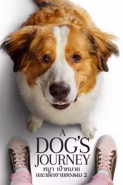 A Dog's Journey