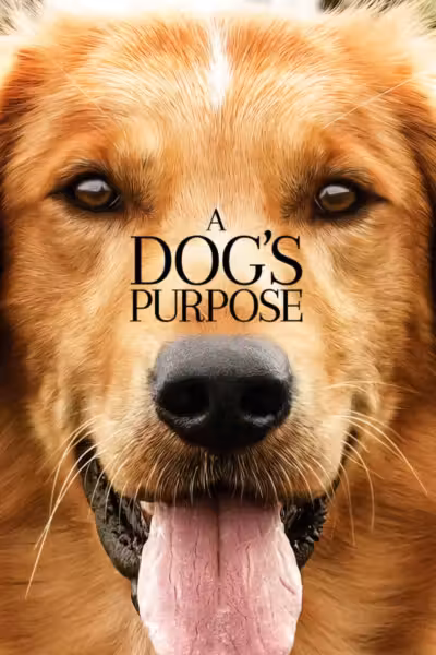 A Dog's Purpose