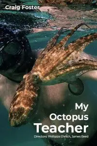 ดูหนัง My Octopus Teacher (2020) บทเรียนจากปลาหมึก