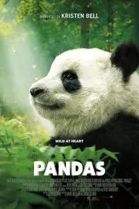 ดูหนัง Pandas (2018)