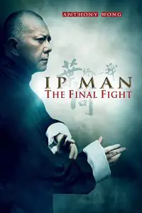 ดูหนัง Ip Man The Final Fight (2013) หมัดสุดท้าย ปรมาจารย์ยิปมัน