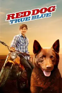 ดูหนัง Red Dog: True Blue (2016) เพื่อนซี้หัวใจหยุดโลก 2 HD