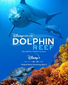 ดูหนัง Dolphin Reef (2020) อัศจรรย์ชีวิตของโลมา HD