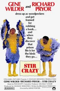 ดูหนัง Stir Crazy (1980) HD