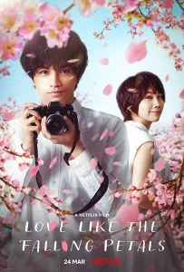 ดูหนัง Love Like the Falling Petals (My Dearest, Like a Cherry Blossom) (2022) ใบไม้ผลิที่ไม่มีเธอเป็นซากุระ HD