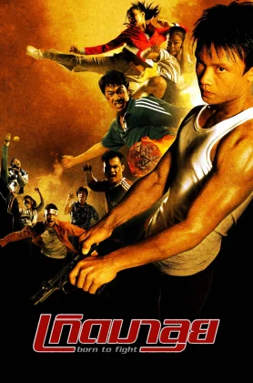 ดูหนัง Born To Fight (2004) เกิดมาลุย HD