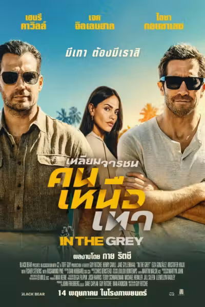 In the Grey