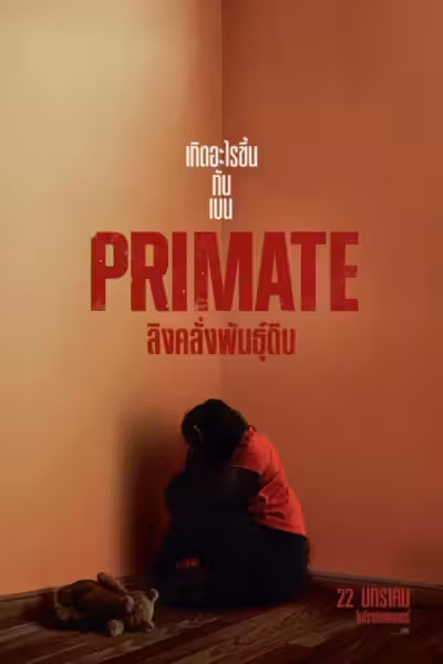 Primate