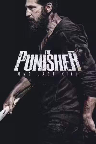 The Punisher: One Last Kill